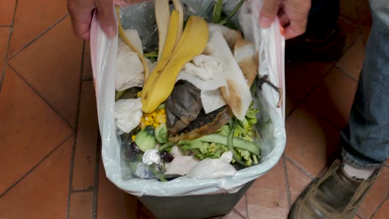 Same-Day Junk Removal Services in Cavalier, ND